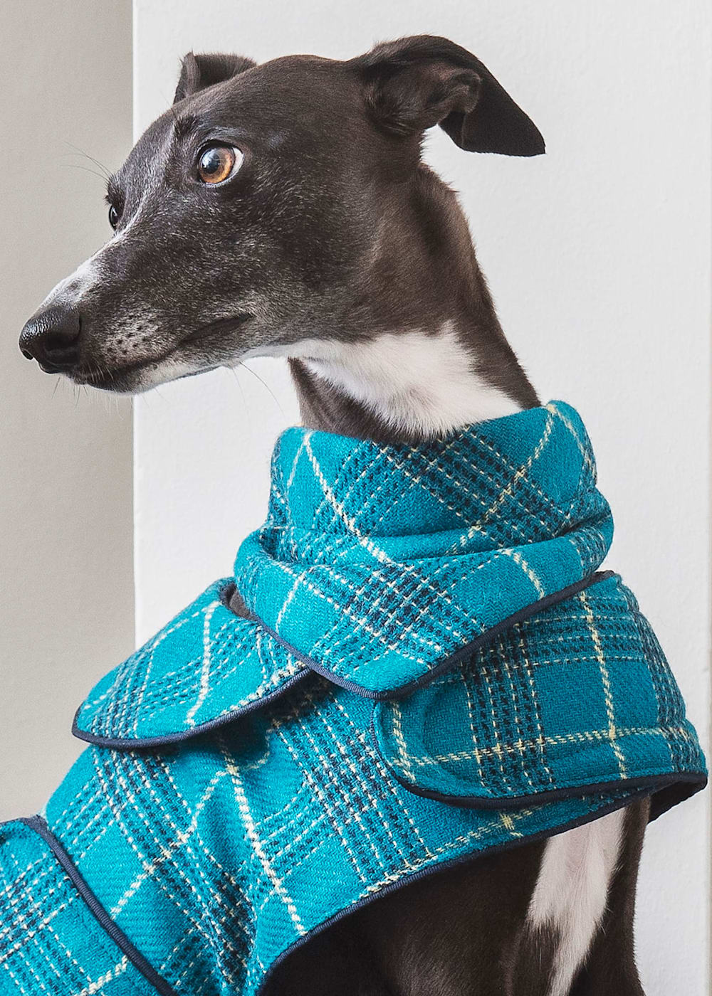 Tweed dog bandana discount