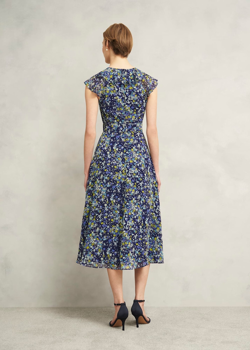 Hobbs Dawn Frill Collar Dress Hobbs Dawn Frill Collar Dress