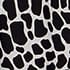 Black Ivory