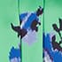 Green Blue