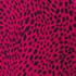 Fuchsia Black