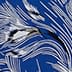 Blue Multi