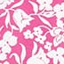 Fuchsia Ivory