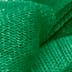 Cilantro Green