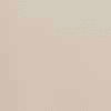 Buff Grey