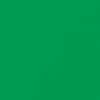 Cilantro Green