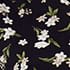 Navy Ivory