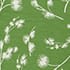 Green Ivory