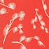 Coral Red Ivory
