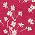 Raspberry Ivory