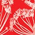 Coral Red Ivory