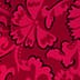 Red Pink