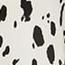 Cream Black