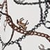 Ivory Multi