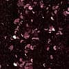 Warm Plum
