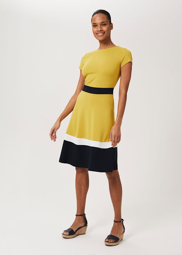 Seasalter Jersey Fit And Flare Dress