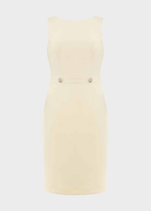 Henrietta Shift Dress