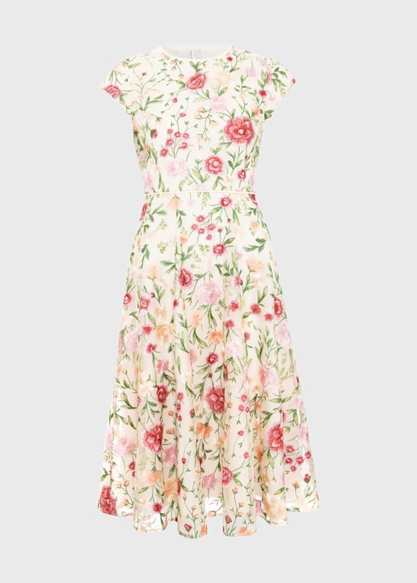 Petite Tia Embroidered Dress