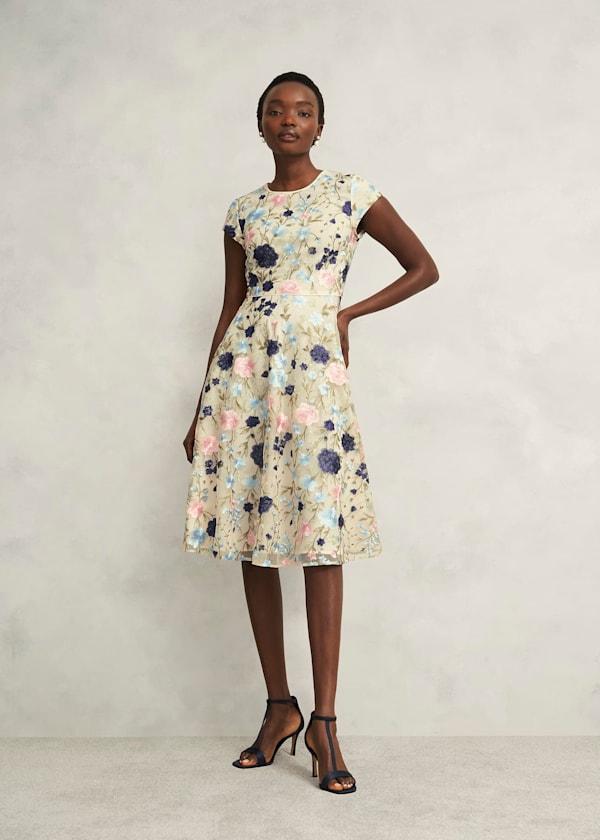 Petite Tia Embroidered Dress