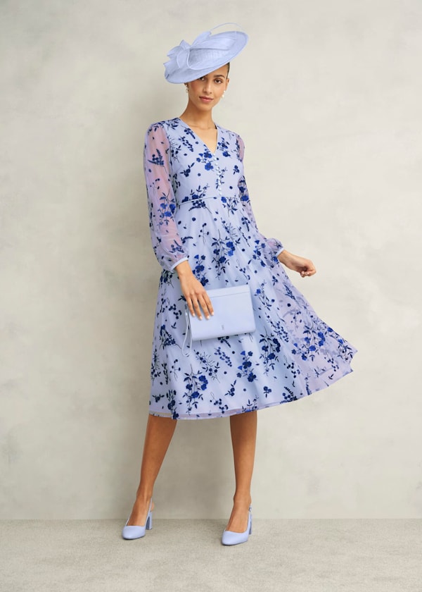 Petite Ella Dress Outfit