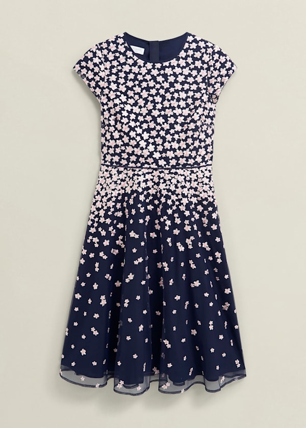Petite Betty Embroidered Dress
