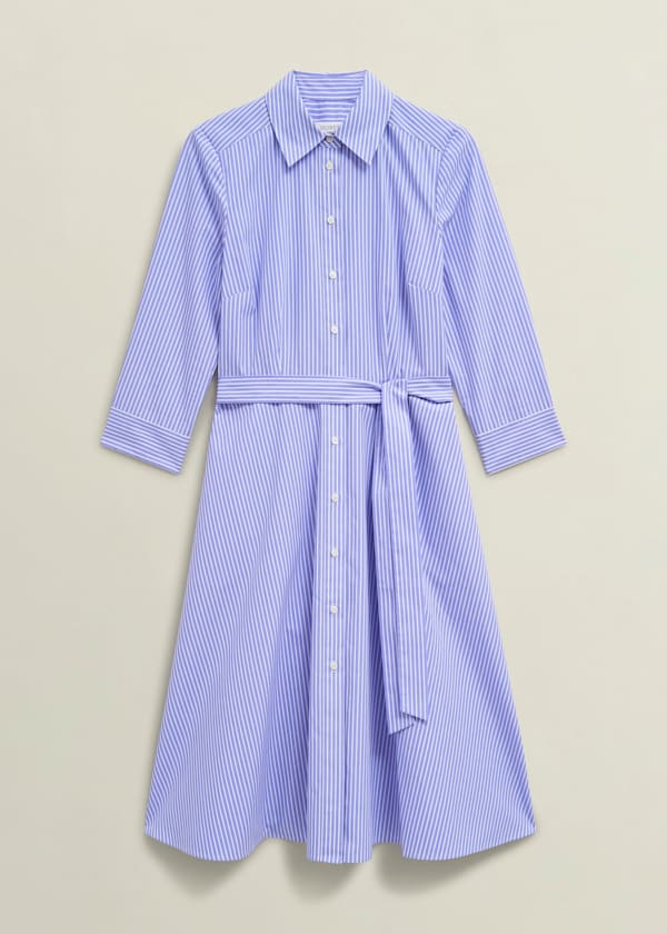 Petite Harlow Cotton Dress