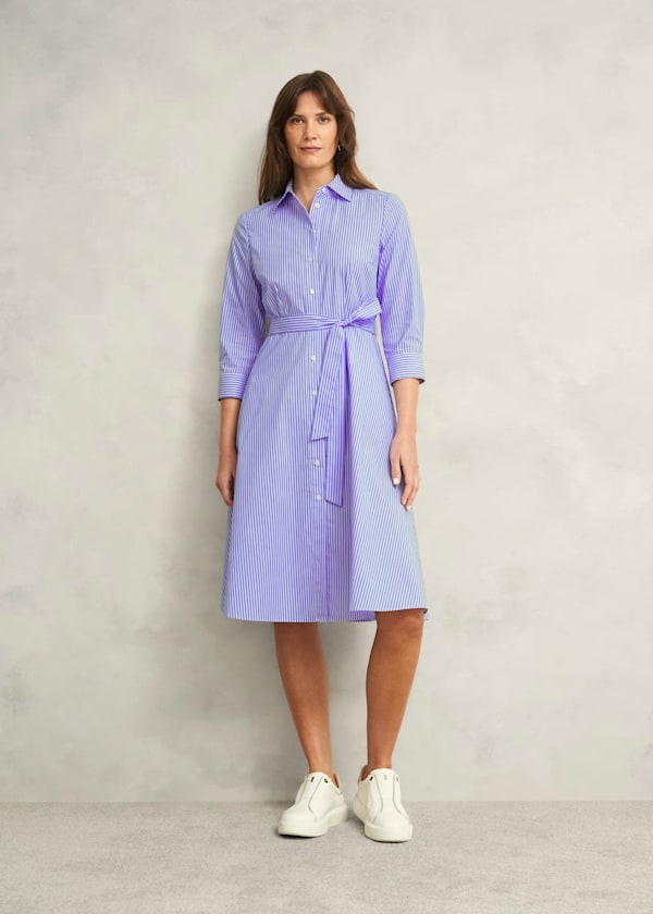 Petite Harlow Cotton Dress