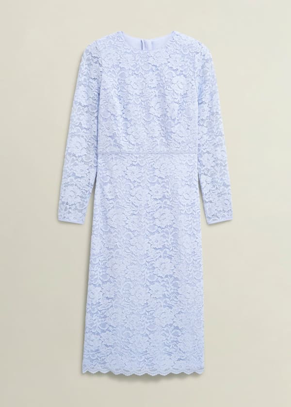 Petite Ottilie Lace Sequin Dress