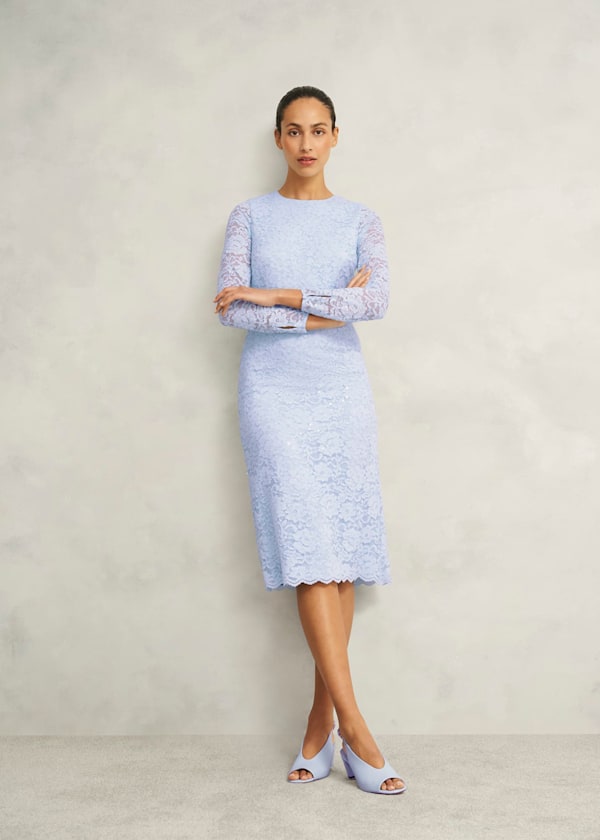 Petite Ottilie Lace Sequin Dress