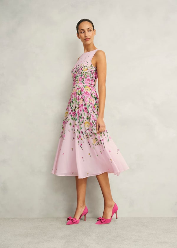 Petite Carly Dress