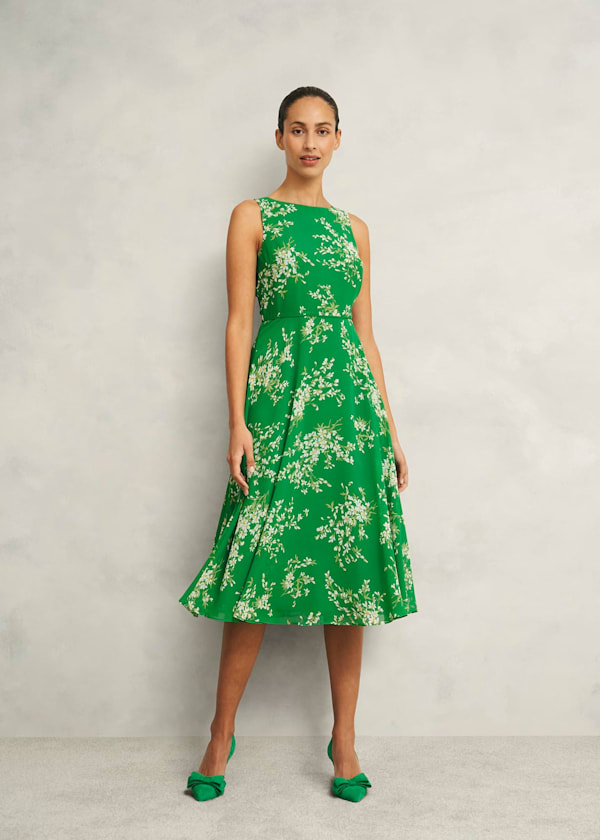 Petite Carly Dress