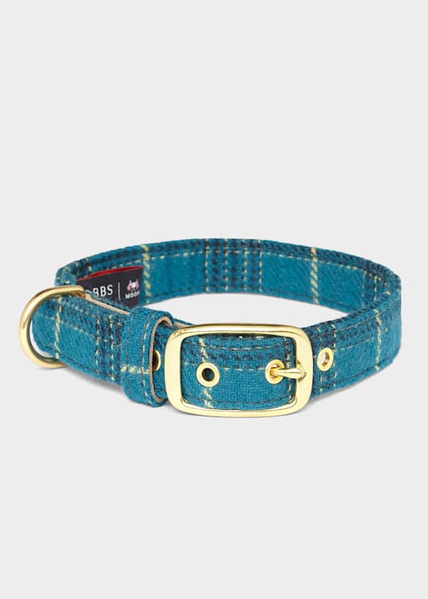 Tweed Dog Collar