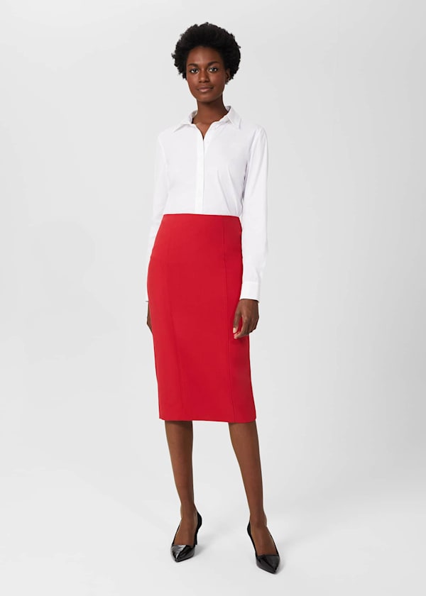 Beatrix Pencil Skirt