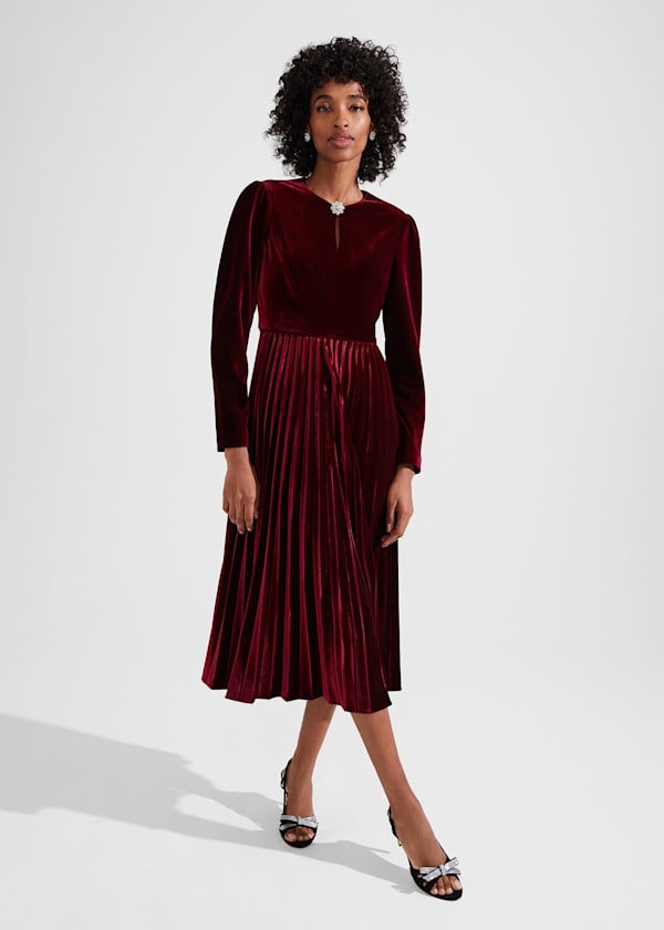 Rosalie Velvet Dress