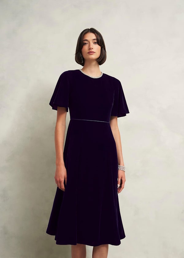 Petite Catalina Velvet Dress