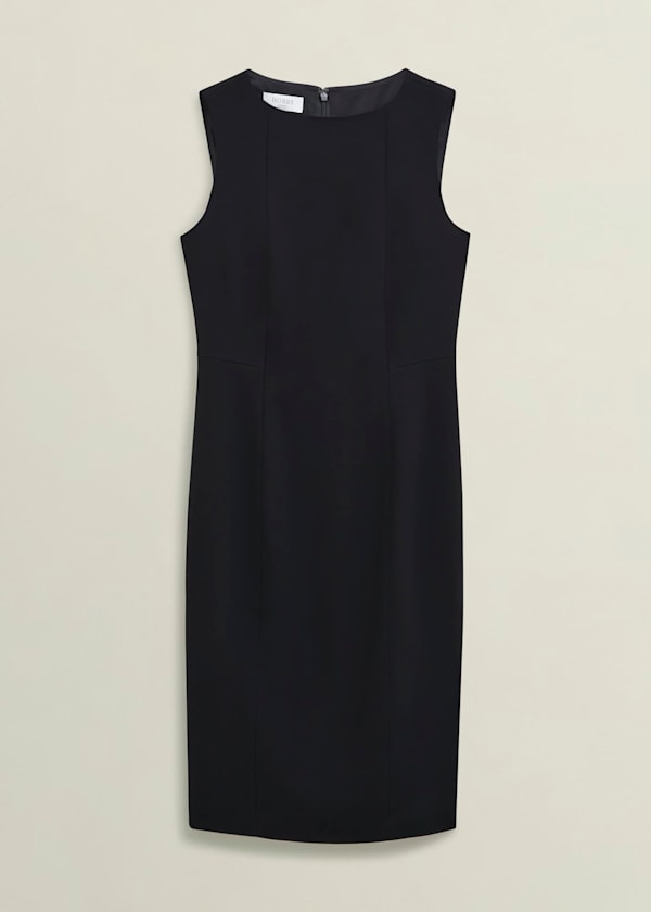 Petite Rae Sleeveless Dress