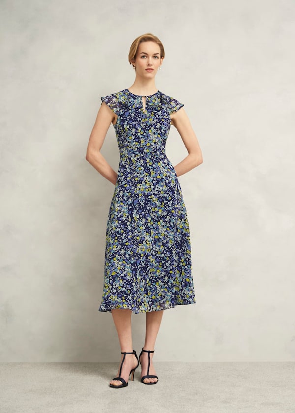 Dawn Frill Collar Dress