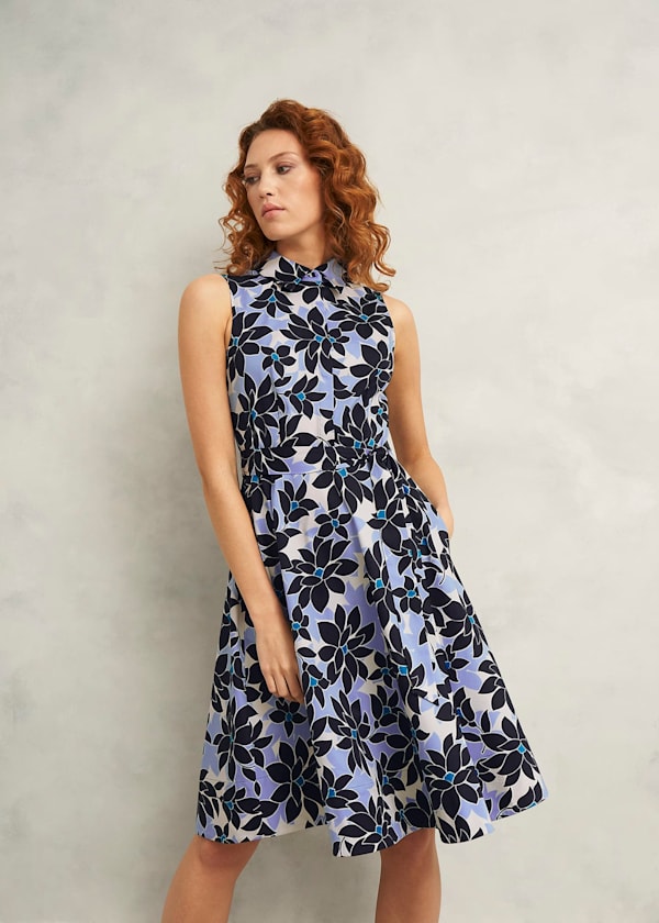 Petite Beki Cotton Dress