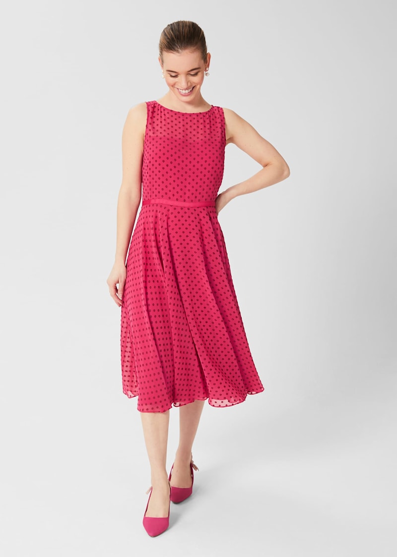 Hobbs della midi dress shop