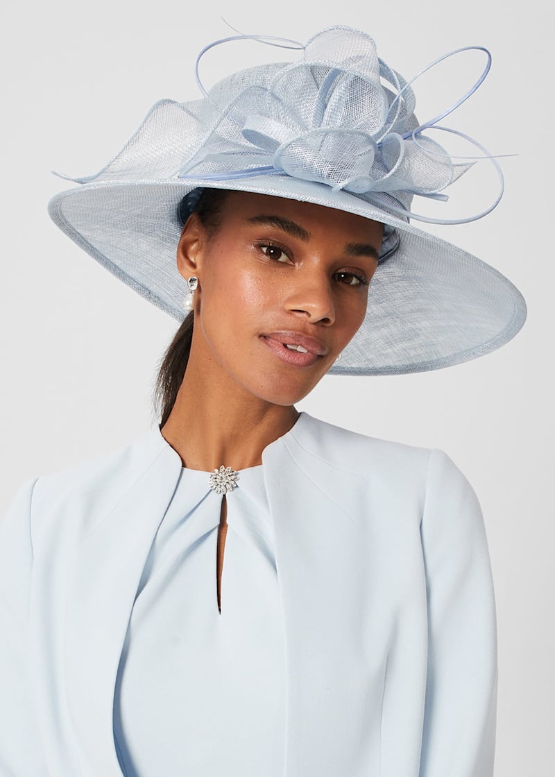 Hobbs layla dress cheap